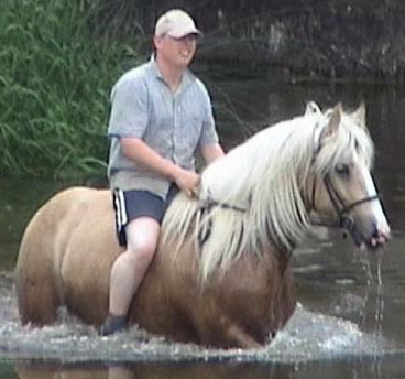 This mare is aptly named Rianna which means Princess in Romany, the native language of the gypsies.