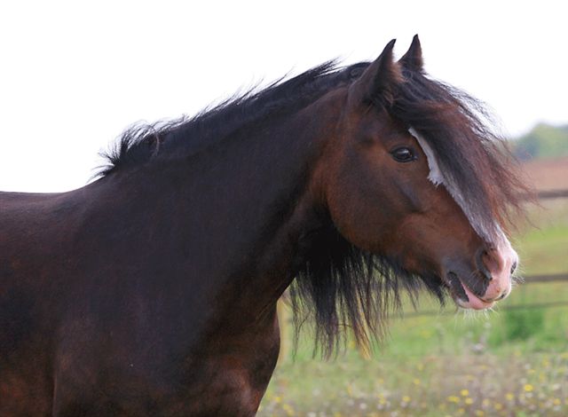 Ready and willing to learn!