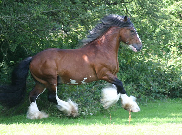 Financing is available