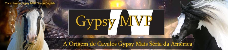 Gypsy MVP -A Origem de Cavalos Gypsy Mais Séria da América
