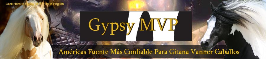 Gypsy MVP-Américas fuente más confiable para gitana Vanner Caballos
